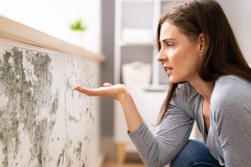 ¿Cómo quitar la humedad en casa? 7 soluciones prácticas y efectivas