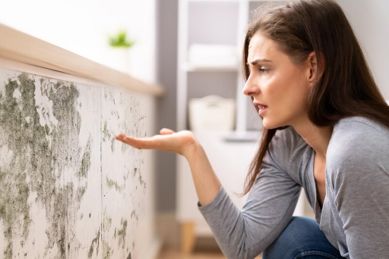 ¿Cómo quitar la humedad en casa? 7 soluciones prácticas y efectivas